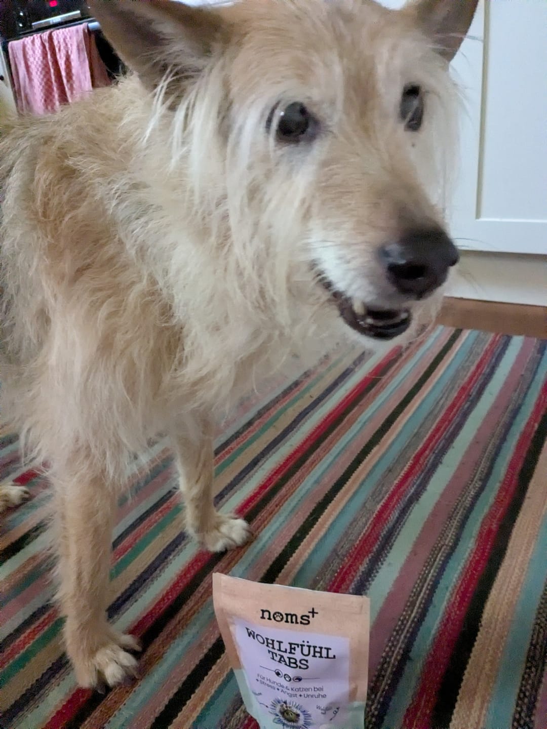 Customer photo review of Wohlfühltabs für Hunde bei Stress, Angst, Unruhe und Hyperaktivität