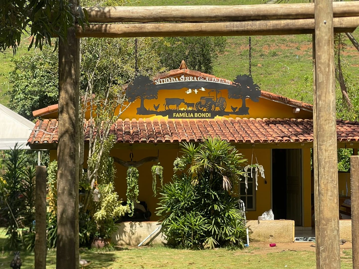 Customer photo review of Árvores do Campo