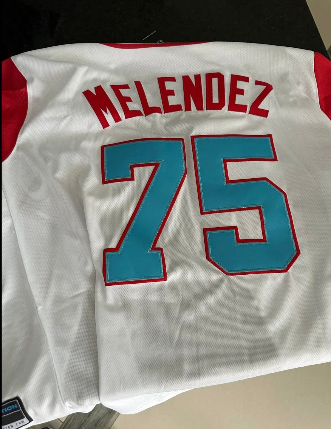 Customer photo review of Puerto Rico Heritage Custom Baseball Jersey