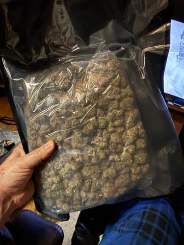 Customer photo review of Georgia Pie - Bulk - Indica