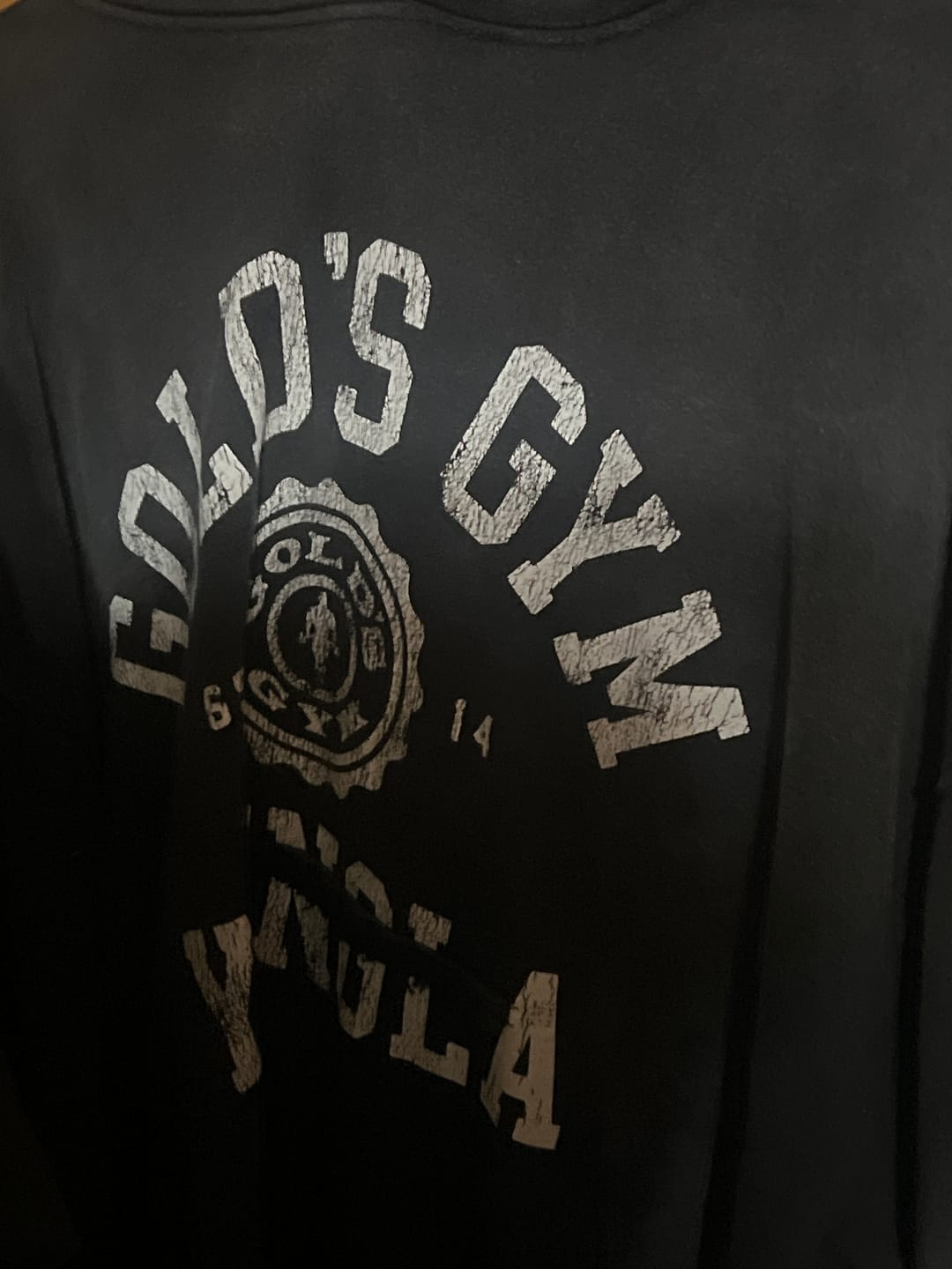 Customer photo review of 5167 - Gold's Iron Legacy Crest Hoodies