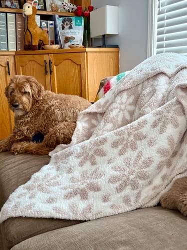 Customer photo review of Daisy Print Blushing Beige and White Extended Throw