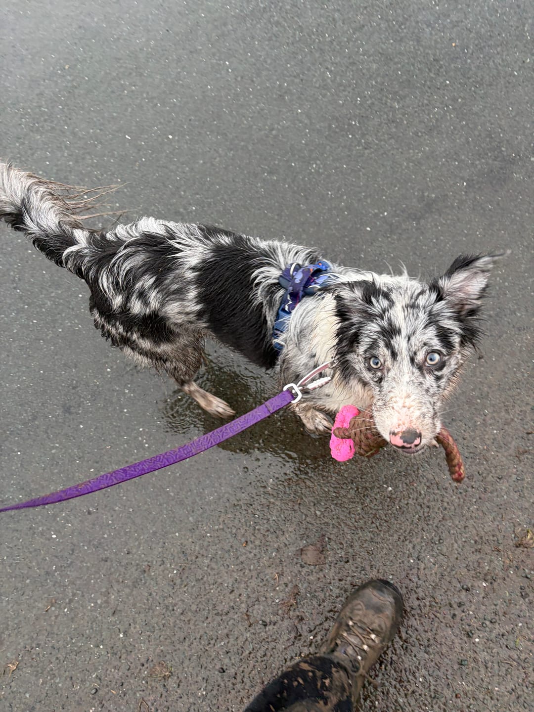 Customer photo review of Tidal Waterproof Lead