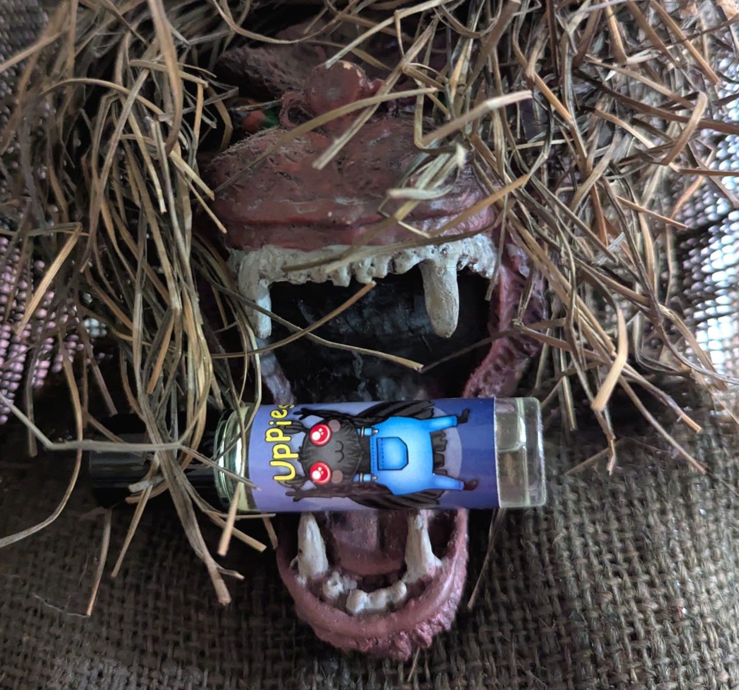 Customer photo review of Just A Lil' Moth Guy