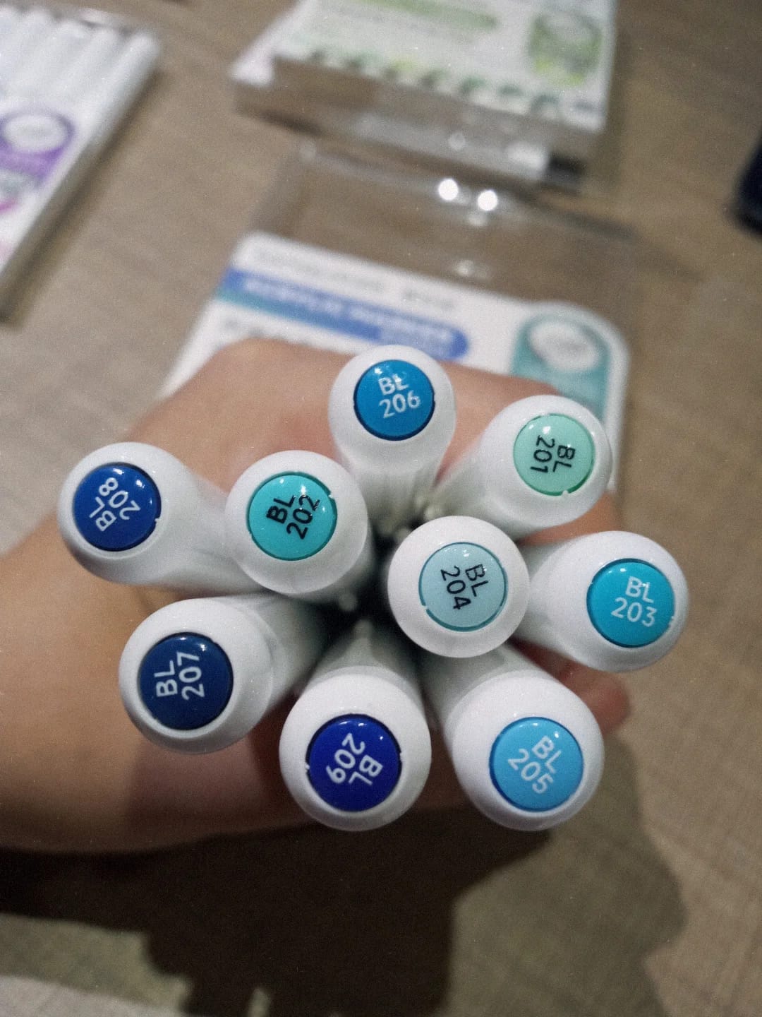 Customer photo review of Languo - Set 9 Marcadores Acrílicos Punta Pincel Blue Series