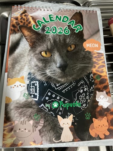 Customer photo review of Official Pupvote Cutest Pets of the Year Calendar (2026)