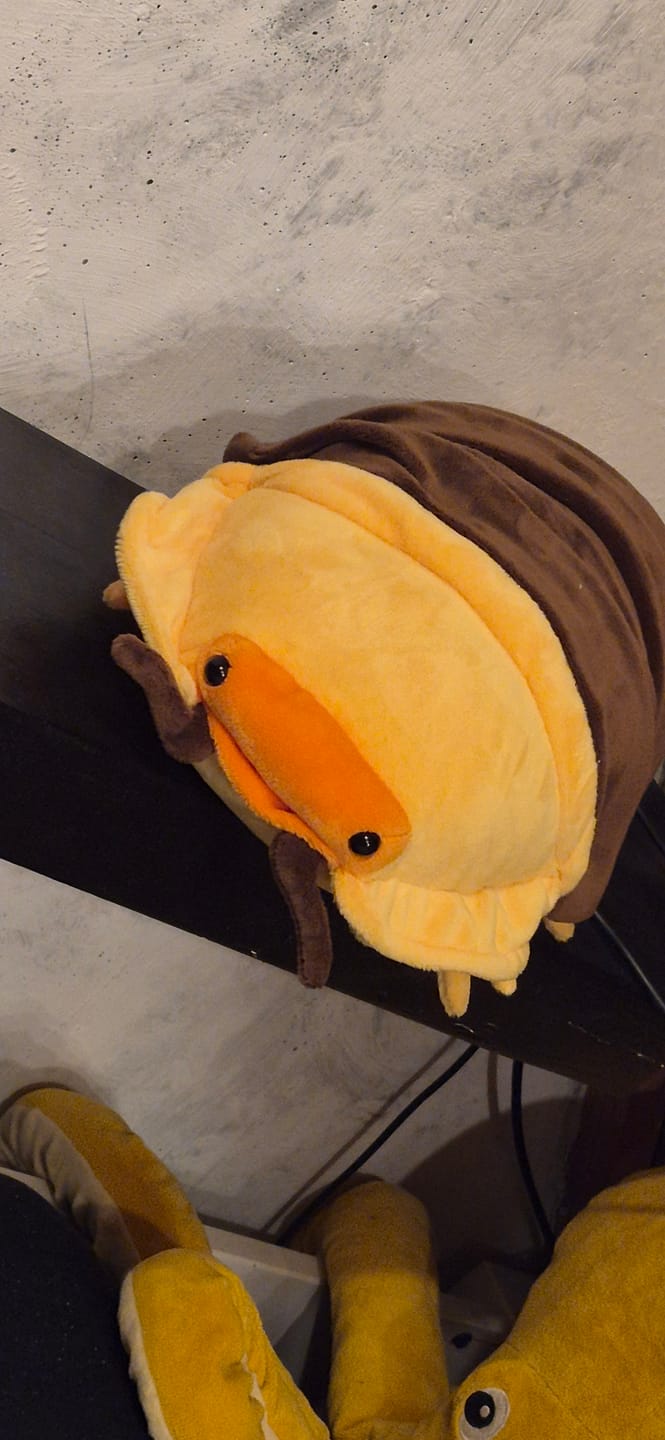 Customer photo review of Rubber Ducky Isopod Soft Stuffed Plush Toy