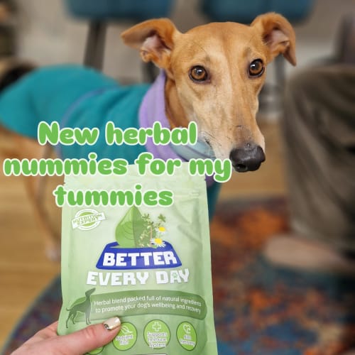 Customer photo review of Better Every Day