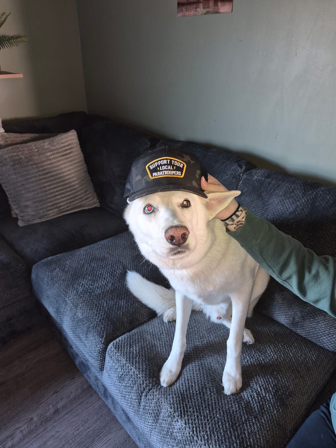 Customer photo review of Support Your Local Paratroopers Patch Trucker Hat