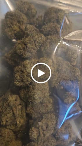 Customer video review of White Gelato - Bulk - Indica