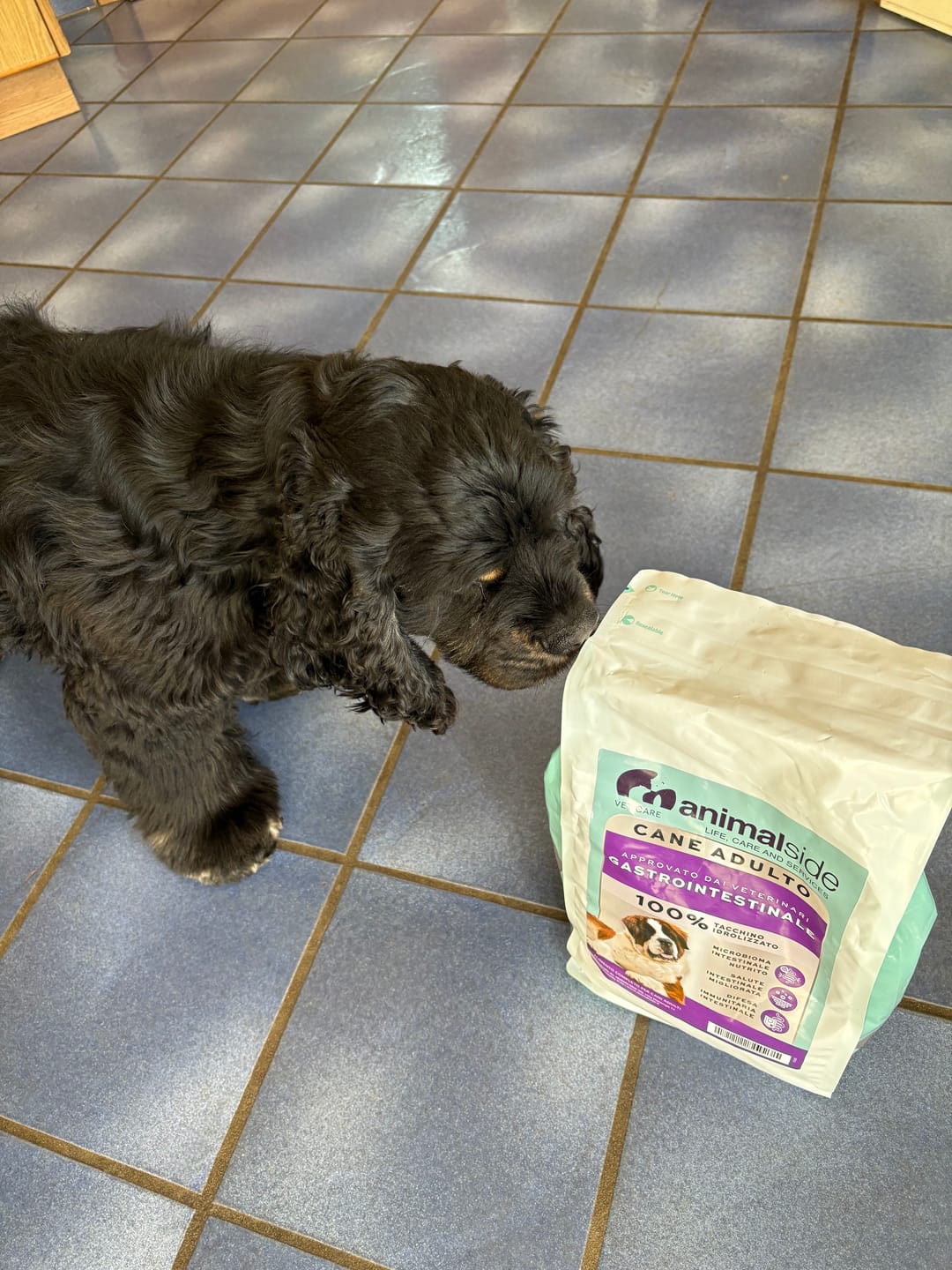 Customer photo review of Crocchette Gastrointestinal al Tacchino - Cane Adulto - Proteine idrolizzate - Grain Free