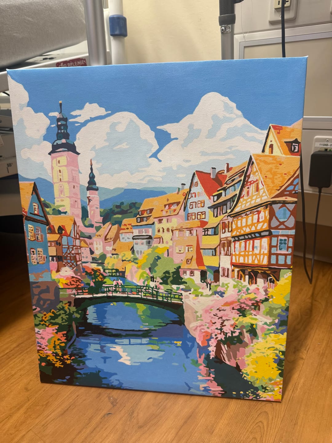 Customer photo review of Town River Bridge