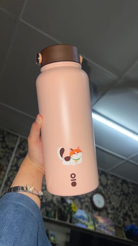 Customer photo review of Disney Cats Ace Bottle Mega