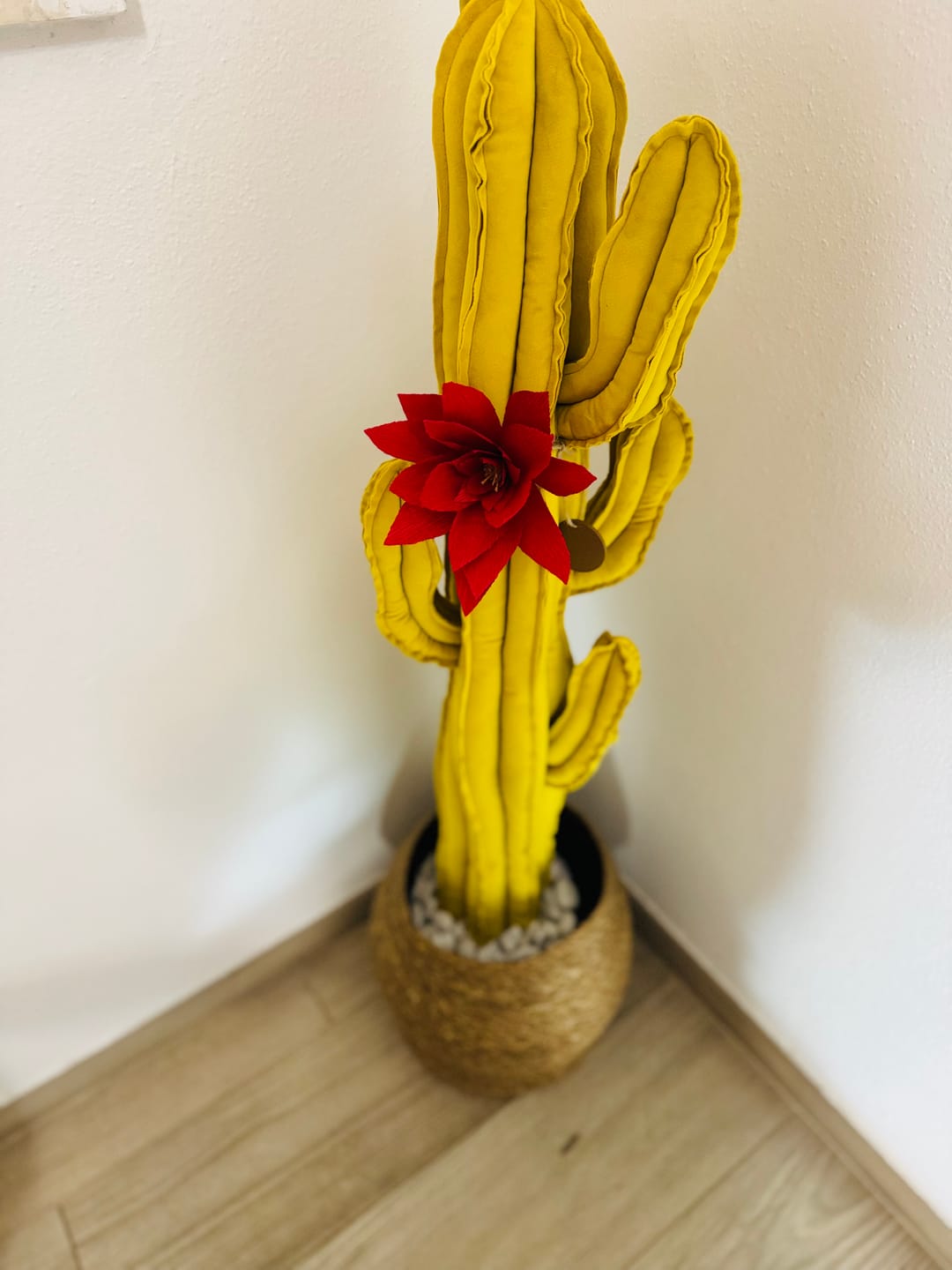 Customer photo review of Big cactus in velluto giallo uovo altezza 112 cm IN PRONTA CONSEGNA