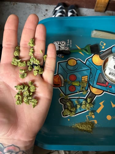 Customer photo review of Light Assist THCA Smalls