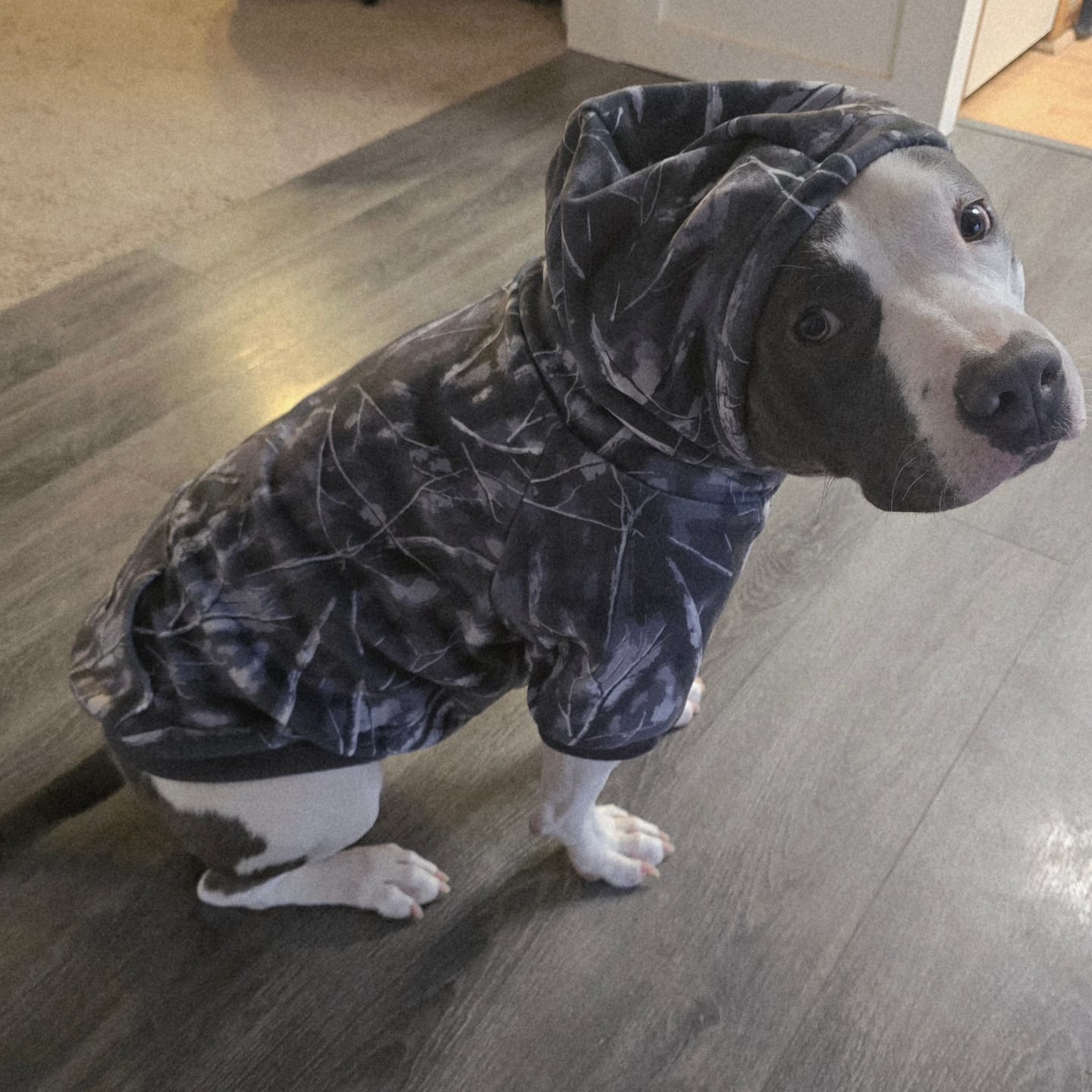 Customer photo review of Camo Dog Hoodies
