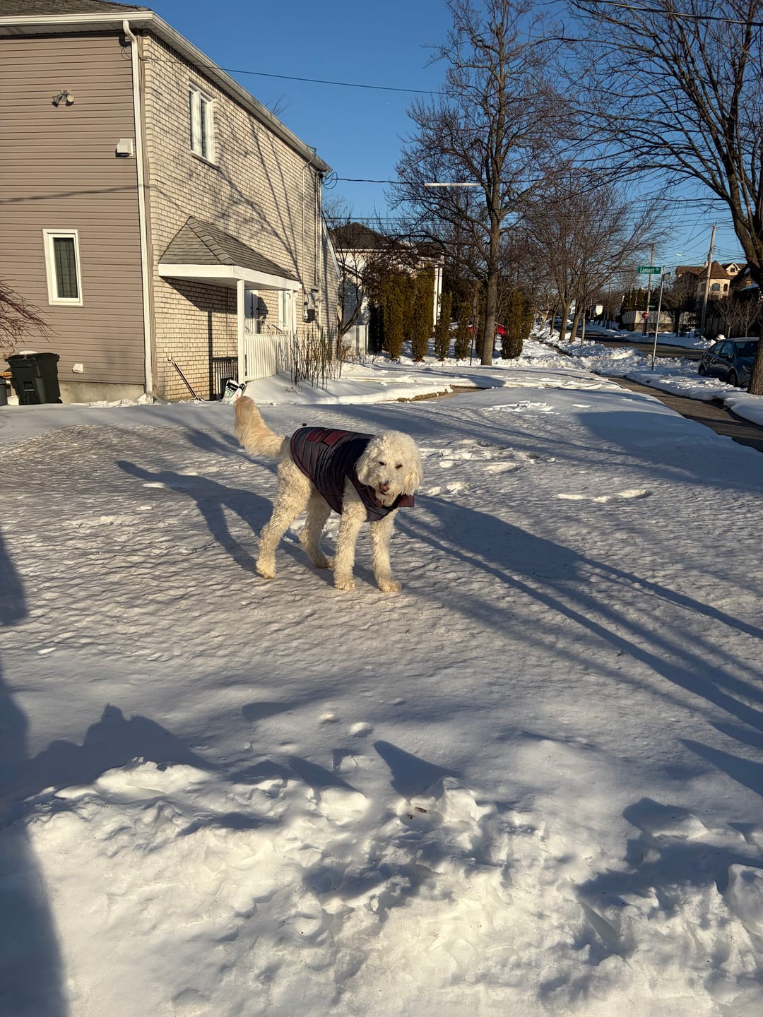 Customer photo review of WarmShield Water-Resistant Jackets