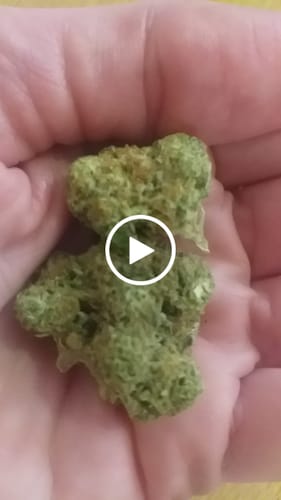 Customer video review of Forbidden Fruit 28% THCA