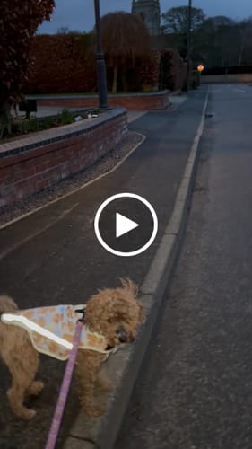 Customer video review of Rain Jacket - Curly Club