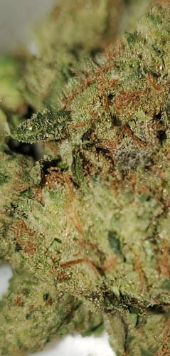 Customer photo review of Godfather OG - 28 Grams - Indica