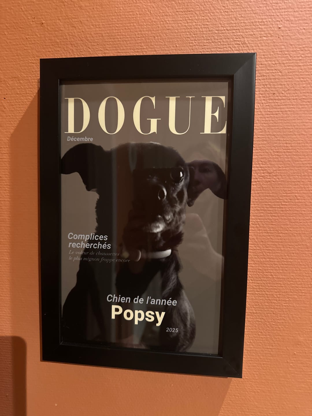 Customer photo review of Dogue - Poster personnalisé