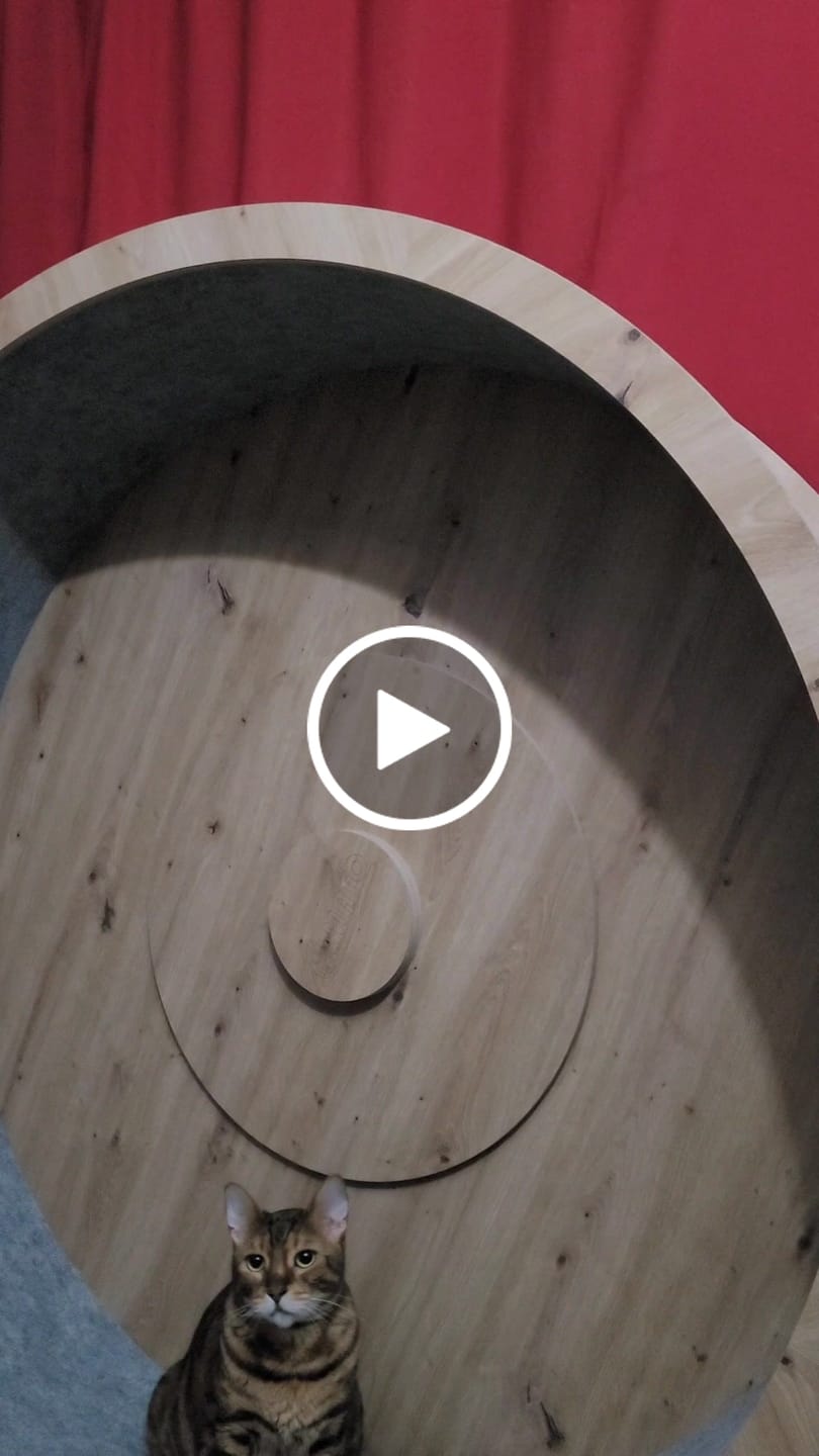 Customer video review of Elmato Katzenlaufrad Rocky Standmodell