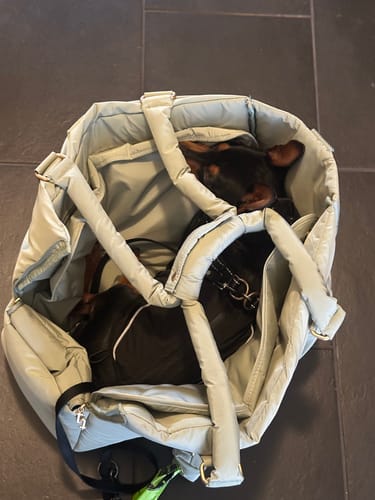 Customer photo review of Matcha┃The Puffer Carrier