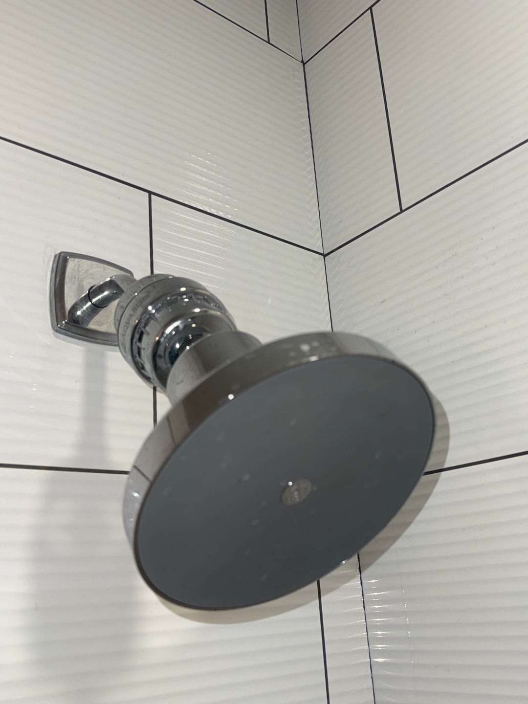 Customer photo review of Ultimate Showerhead
