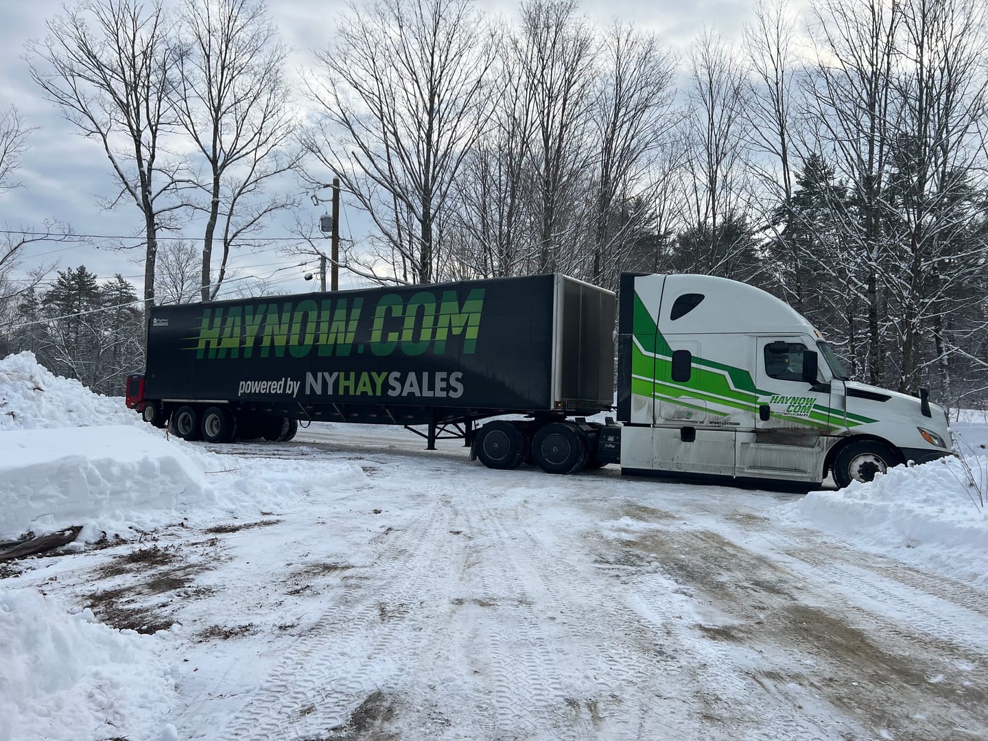 Customer photo review of Timothy Orchard Grass Hay (Click here for Qty Discount) Grass Hay (Buy More - Save More)(Includes delivery too!)