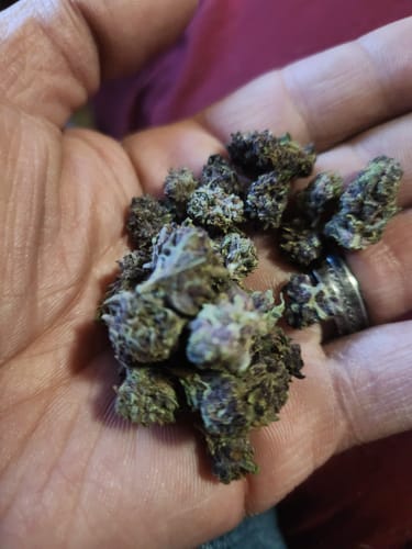 Customer photo review of Granddaddy Purple - Minis - 28 Grams - Indica