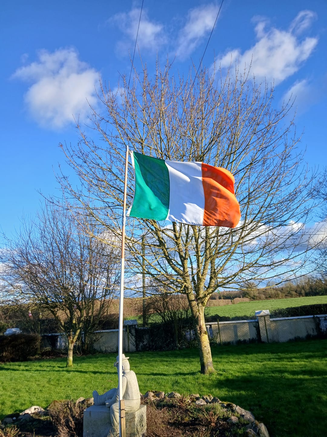 Customer photo review of Ireland National Flag