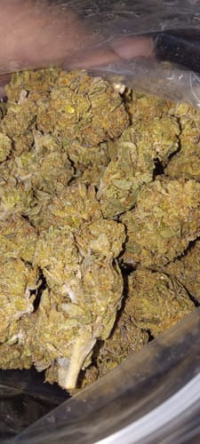 Customer photo review of Cheap THCA Flower Pound