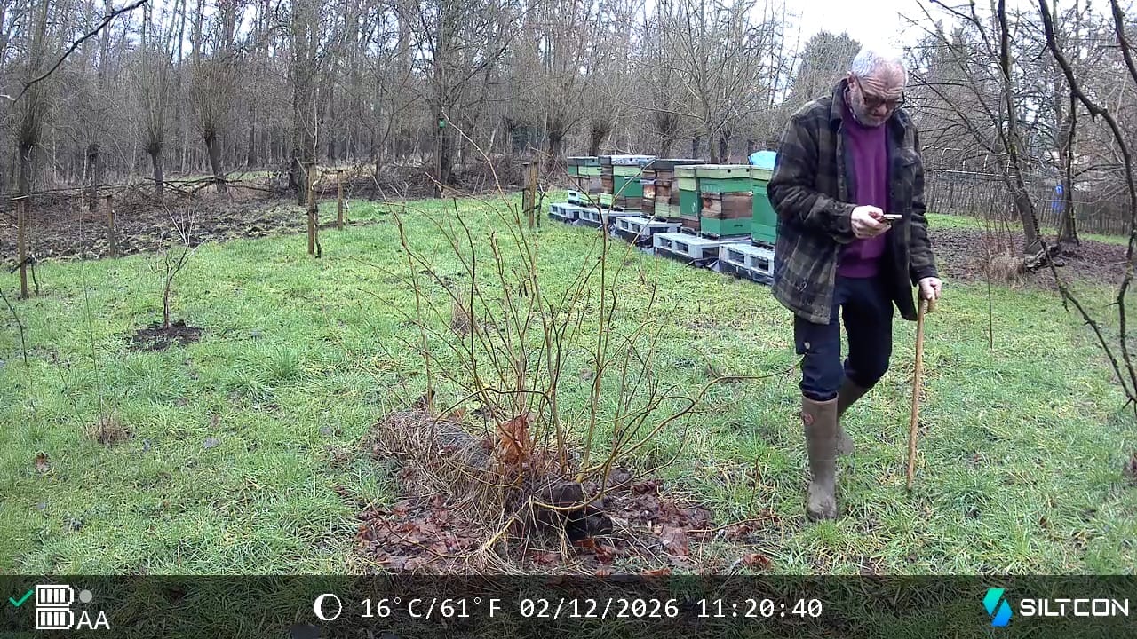Customer photo review of Siltcon® Wildcamera met Zonnepaneel 8K