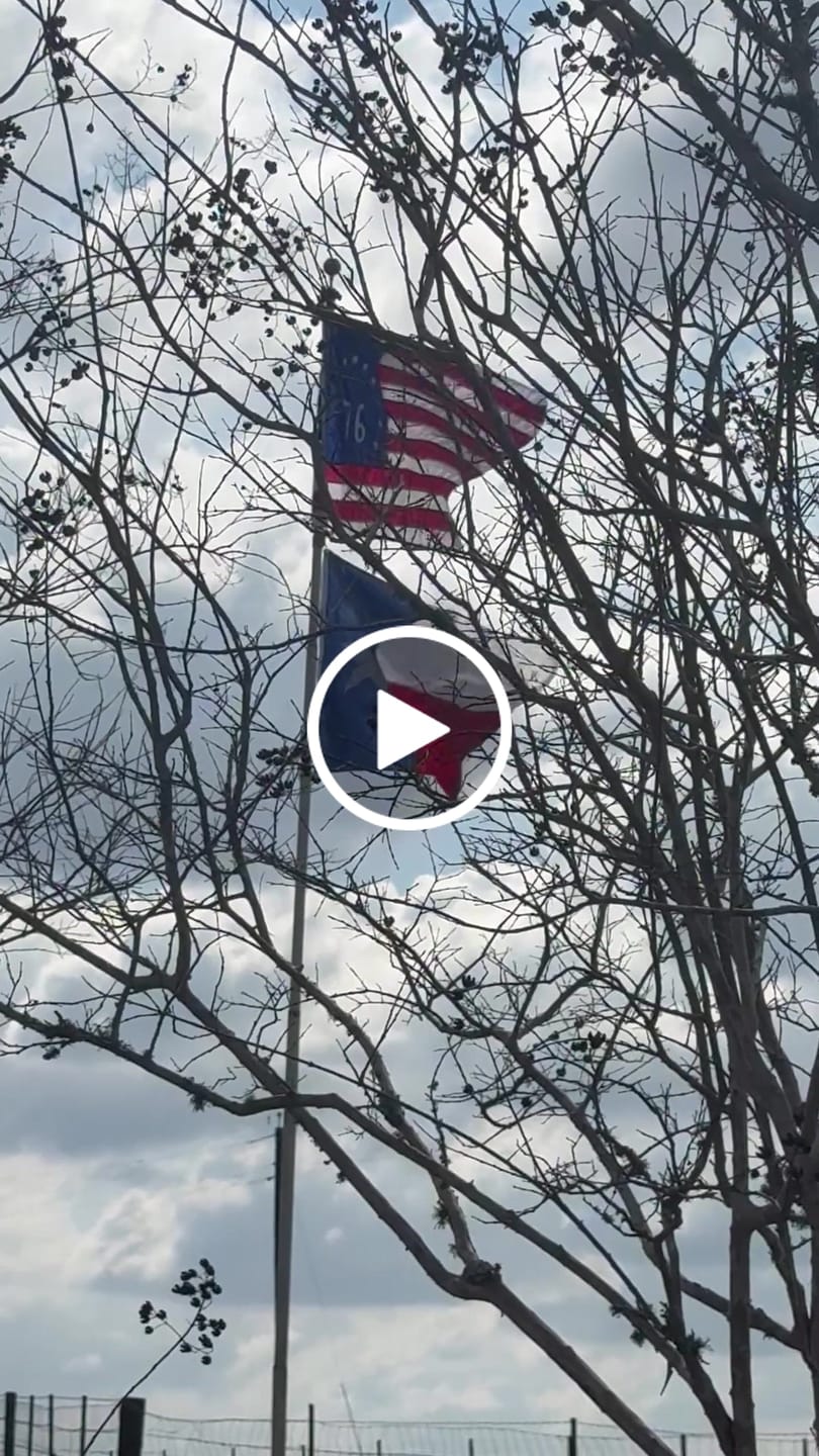 Customer video review of 3' x 5' Texas Flag