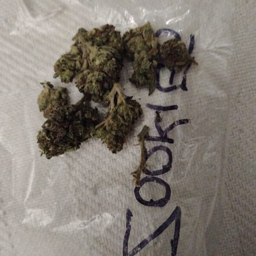 Close-up of a customer's green Zookies buds on a plastic bag with "Zookies" handwritten in marker.