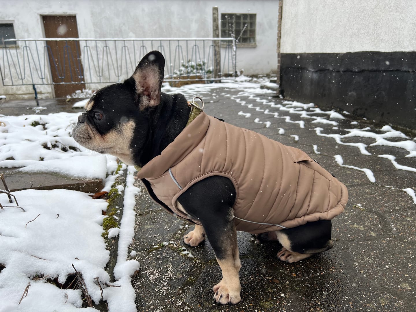Customer photo review of WarmShield Water-Resistant Jackets