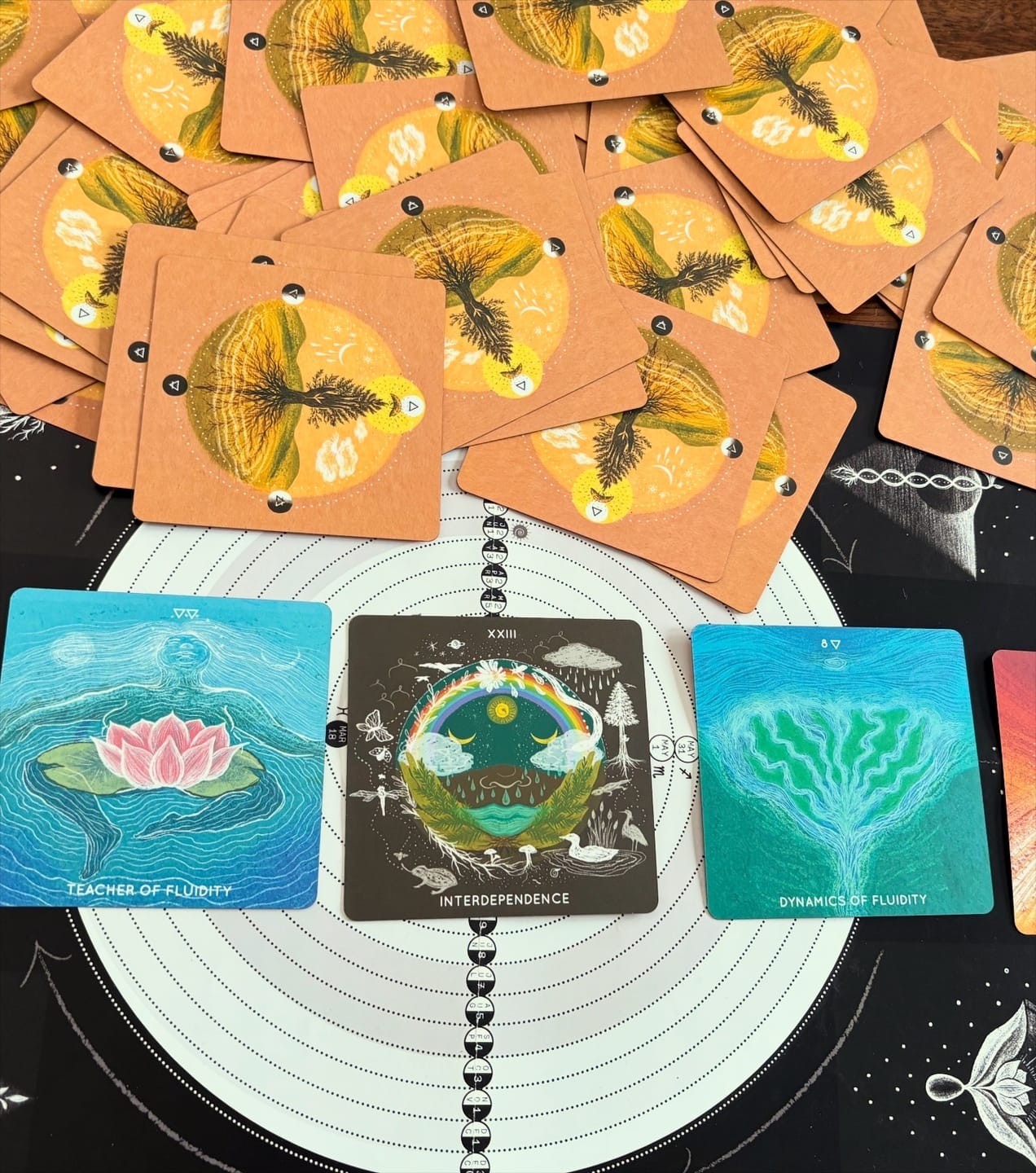 Customer photo review of Embodied Ecosystems Tarot-Oracle Deck & Guidebook