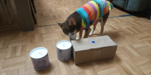 Customer photo review of Complément articulations