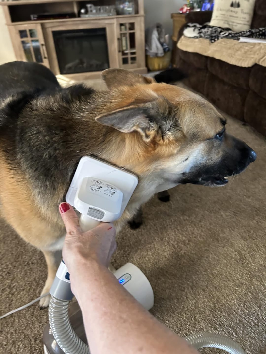 Customer photo review of Calm Grooming at home™.