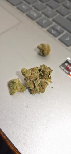 Customer photo review of Girl Scout Cookies Smalls