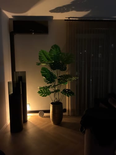 Customer photo review of Monstera Kunstplant 165cm