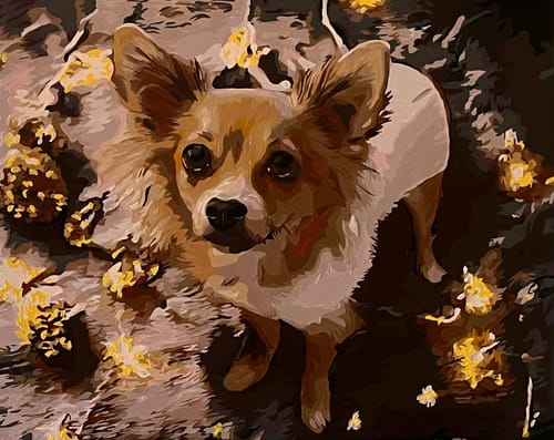 Customer photo review of Custom Pet Paint By Numbers