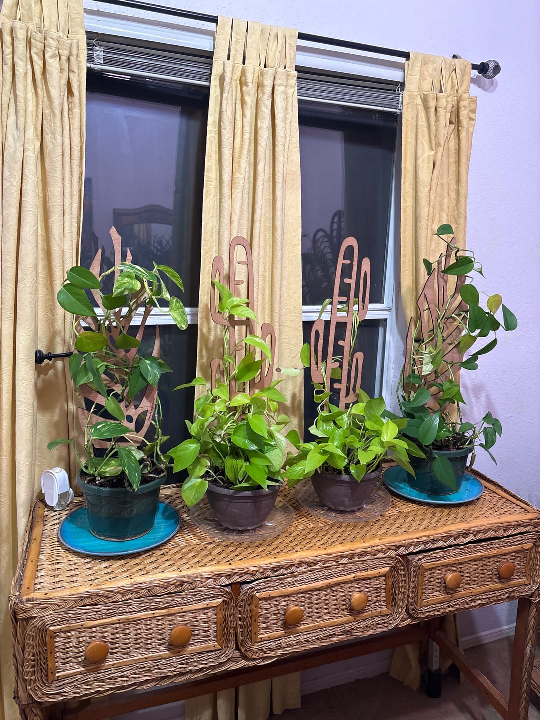 Customer photo review of Monstrella - Plant trellis inspired by the Monstera Leaf