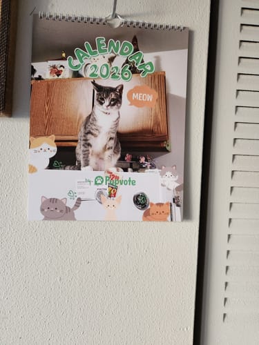 Customer photo review of Official Pupvote Cutest Pets of the Year Calendar (2026)