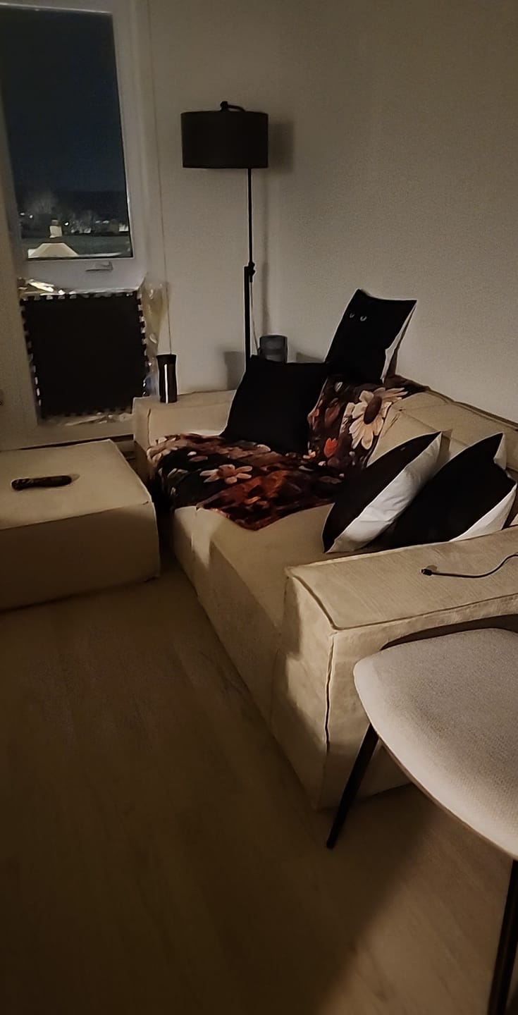 Customer photo review of M1 Sofa Loveseat