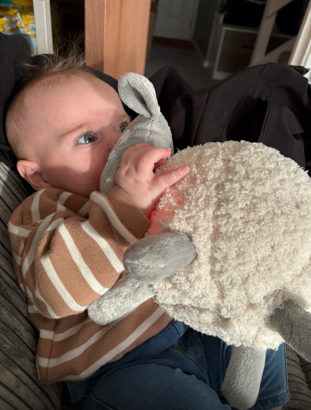 Customer photo review of ewan Deluxe | baby shushing sleep sheep | gray