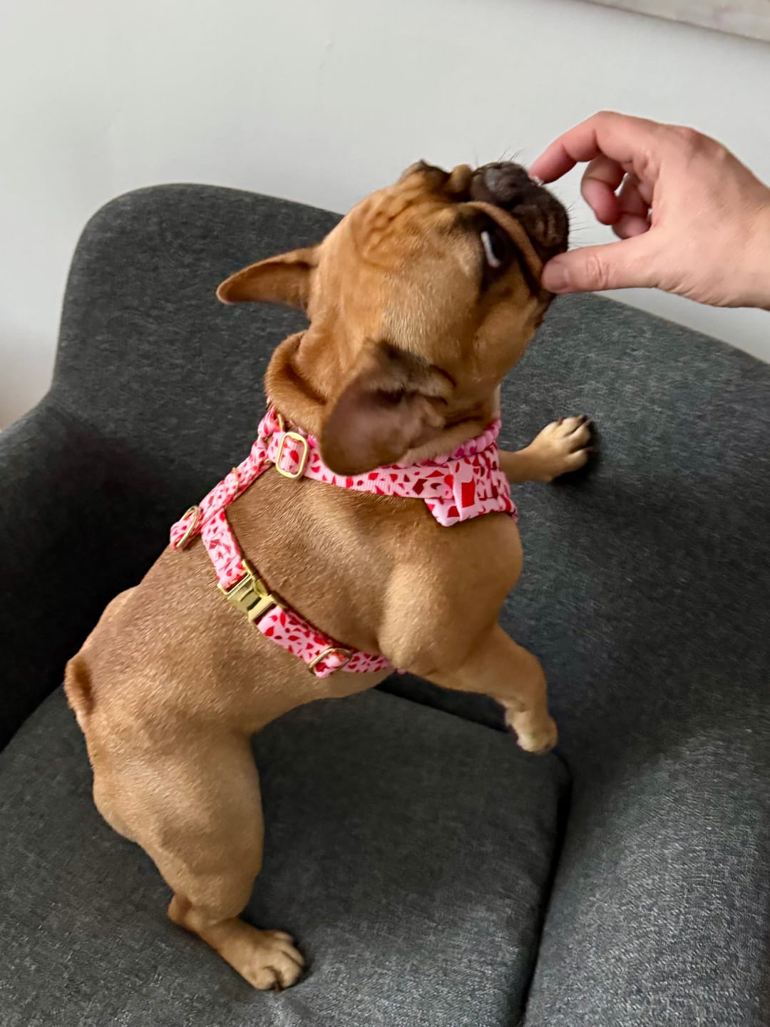 Customer photo review of Szelki bezuciskowe "Pink Terrazzo" - złote okucia