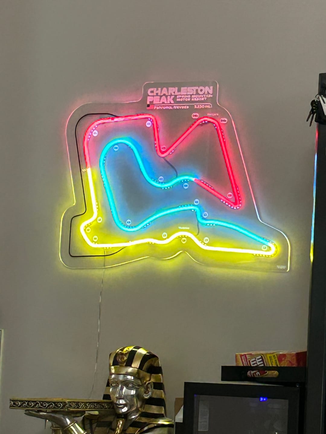 Customer photo review of Your Custom Neon Race Track Service