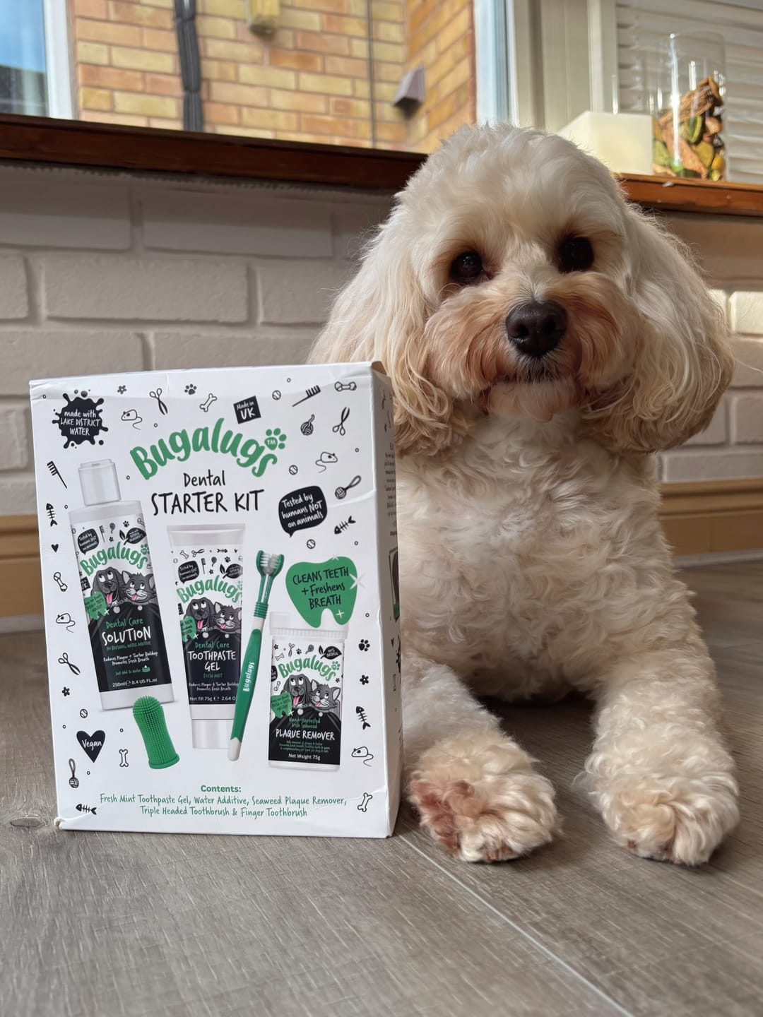Customer photo review of Dental Starter Kit for Dogs & Cats