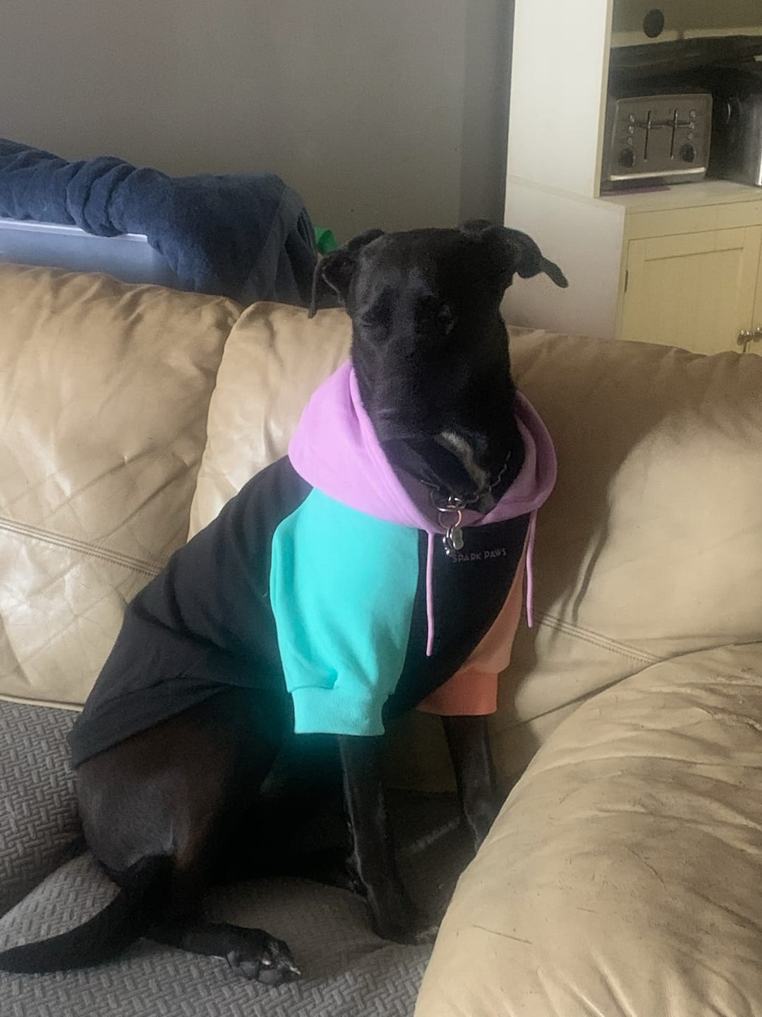 Customer photo review of Cyber Punk Human Hoodie